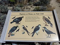 Fosile butte (25).JPG